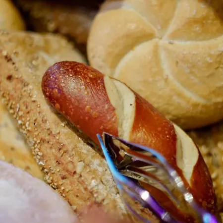 Amedia Lustenau, Trademark Collection By Wyndham Lustenau