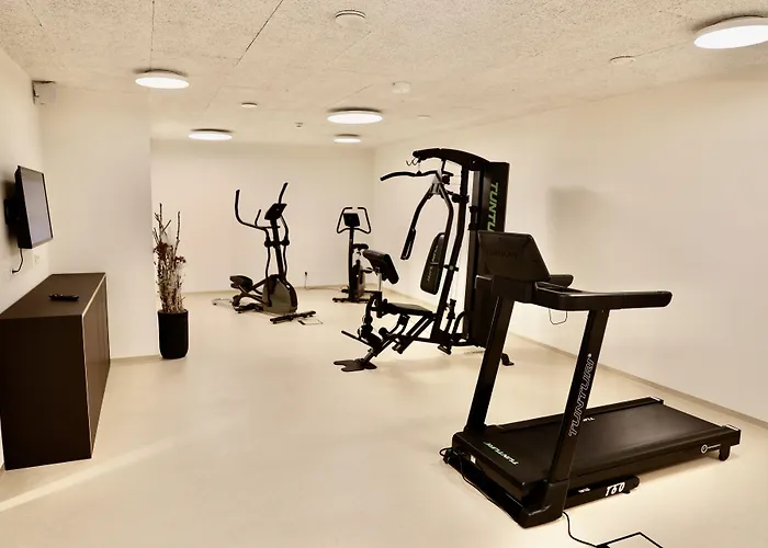 Amedia Lustenau, Trademark Collection By Wyndham Hotel